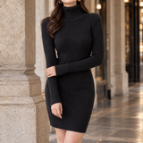 Christabel-Jane Ribbed Turtleneck Dress - Black