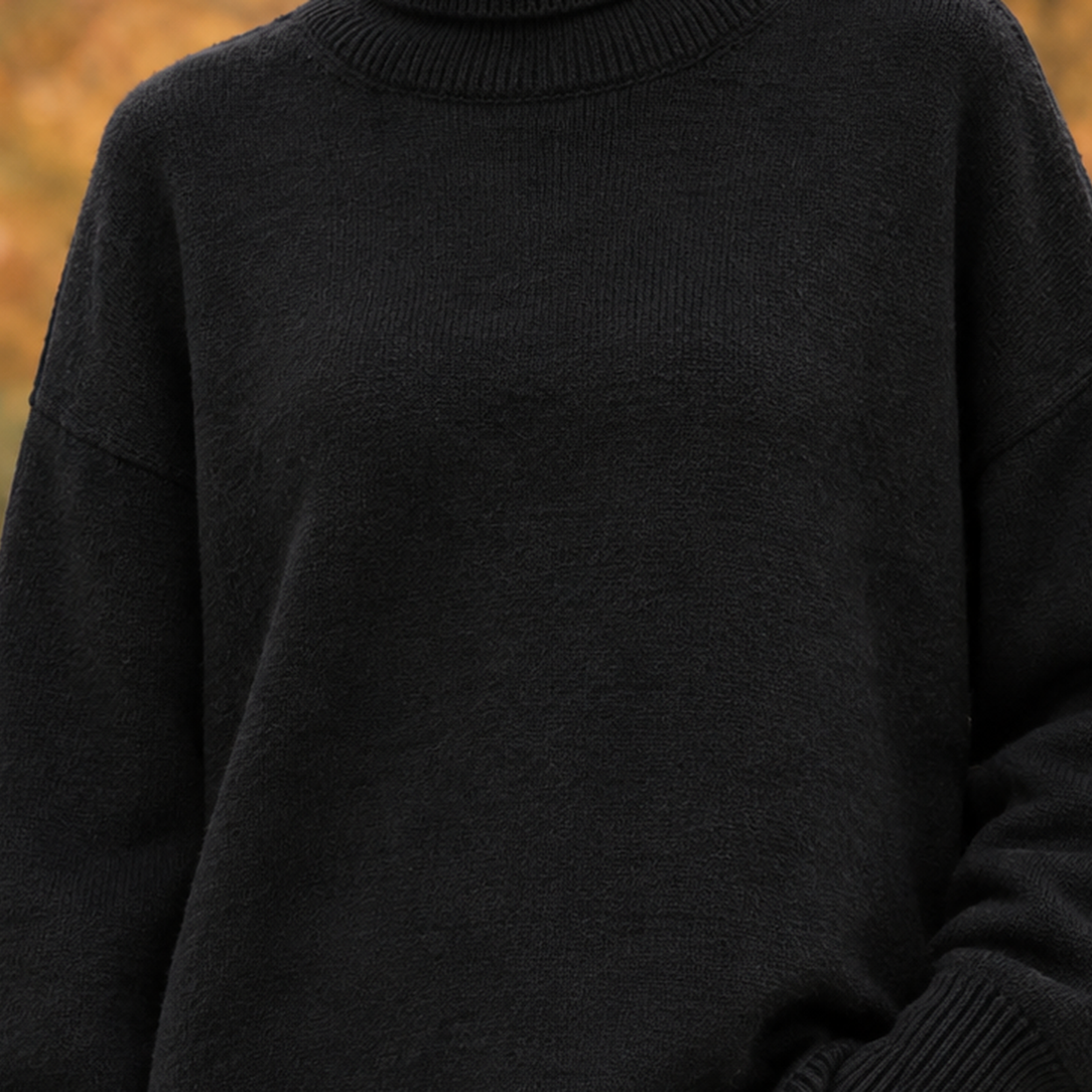 Celine-Belle Turtleneck Sweater - Lead Product Detail