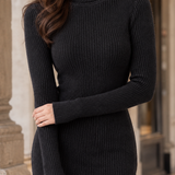 Christabel-Jane Ribbed Turtleneck Dress - Lead Product Detail