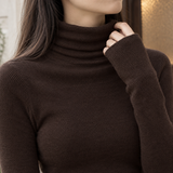 Teresa Turtleneck Top - Lead Product Detail