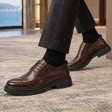 Tiepolo Derby Shoes - Brown